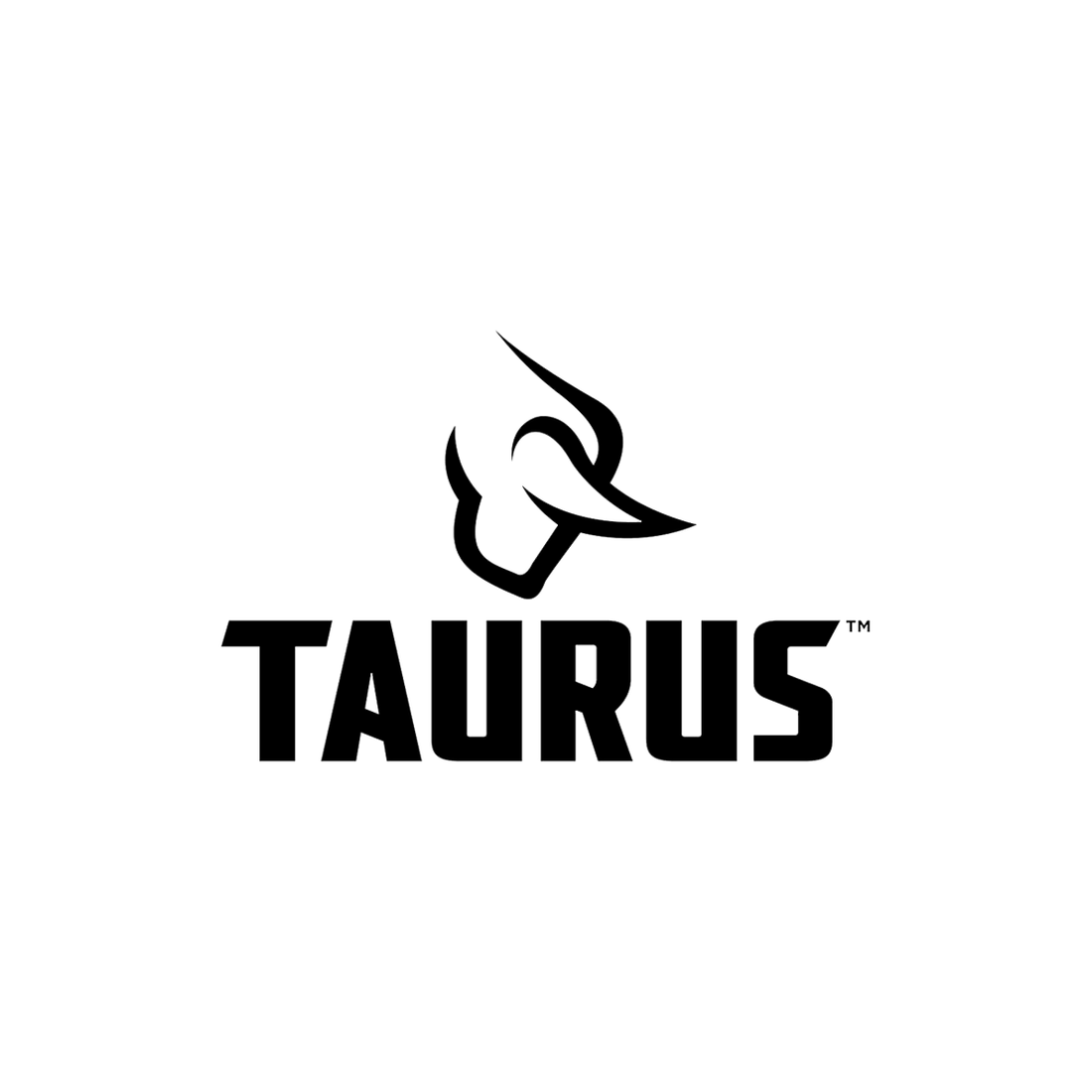 Taurus OWB Paddle Holsters